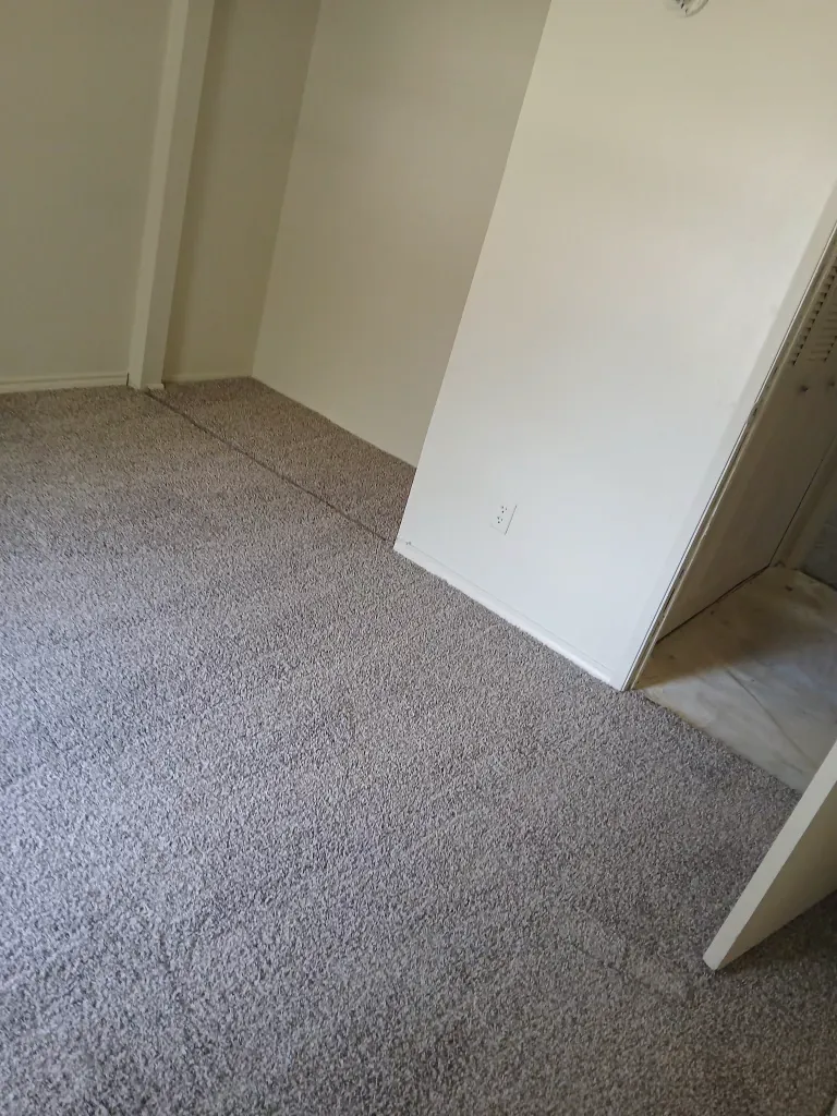 Grey carpet running from a bedroom into a walk-in closet with the seam hidden at the threshold
