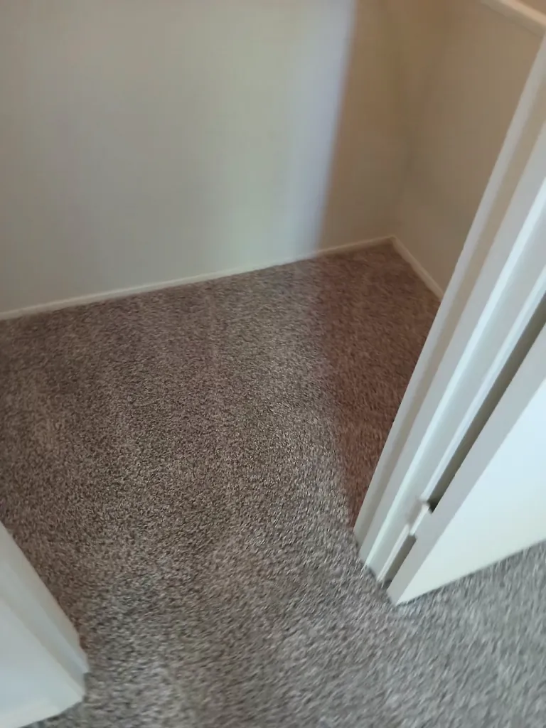 Corner detail of a carpet installation, cut tight to the baseboard with no gap or fray